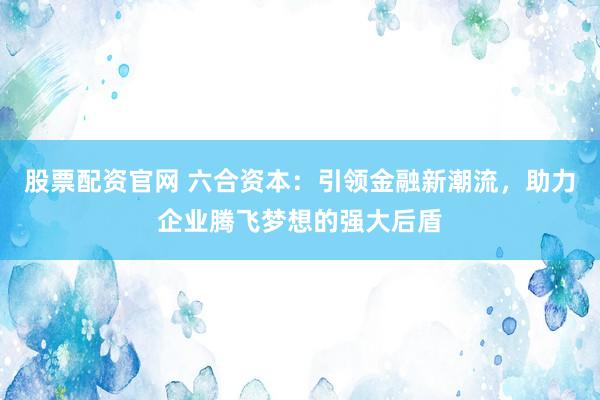 股票配资官网 六合资本：引领金融新潮流，助力企业腾飞梦想的强大后盾